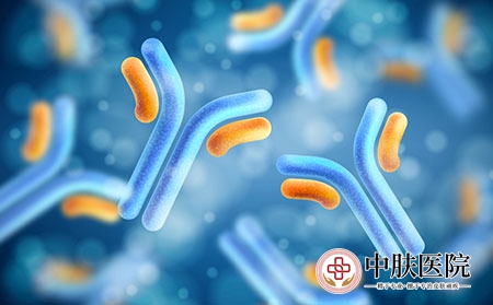 摄图网_303209237_现实的抗体免疫球分子背景（企业商用）